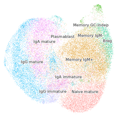 B cell. umap