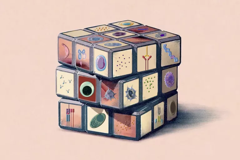 Rubiks